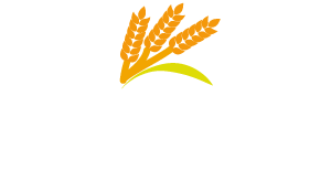 Logo de l'entreprise Panistar